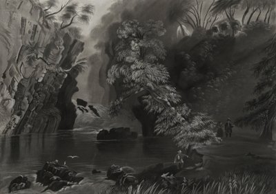 景观 作者 不明