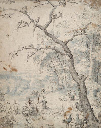 伊甸园 作者 不明