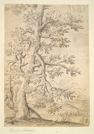 树 作者 不明