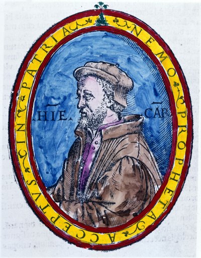 (Cardanus Hieronymus) Jerome Cardan in Italian Gerolamo Cardano，意大利医生、数学家、哲学家和占星家 (Pavia 作者 未知艺术家