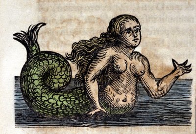 传奇人物Sirene--来自耶稣会士、东方学家和德国学者阿塔纳西乌斯-基尔切尔（1601-1680）作品的雕刻。 作者 未知艺术家