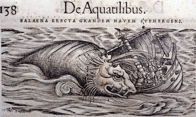 鲸鱼破坏了船体并导致其沉没。 雕刻 n Historia Animalium by Conrad Gesner (1516 - 1565)，提古里 作者 未知艺术家