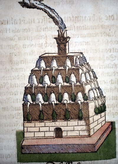 炼金术：来自 Pietro Andrea Mattioli (Matthiole) (1500-1577) 一书中的 Athanor Four。 法兰克福 作者 未知艺术家