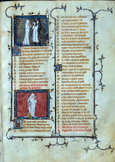 让·德·梅恩、让·德·梅昂或让·肖皮内尔、让·克洛皮内尔 (v.1240-1305)，约 1370 年，在“罗马德拉玫瑰”中的禁欲微型人物下，爱玩马勒布什的陷阱的寓言表现。 巴黎，圣哥图书馆 作者 未知艺术家