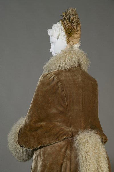 Bertha Palmer 的冬季外套，c.1885（背面细节）、丝绒和小羊羔毛。 作者 未知艺术家