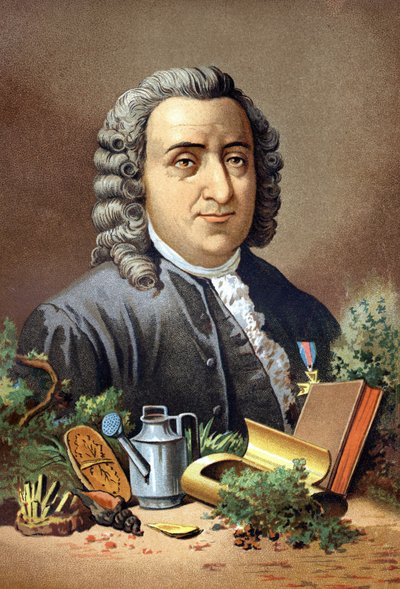 卡尔-冯-林内 瑞典自然学家和作家(1707 - 1778)在路易斯-菲吉埃的 "La Ciencia y sus Hombres "之后。巴塞罗那 1881年 作者 未知艺术家
