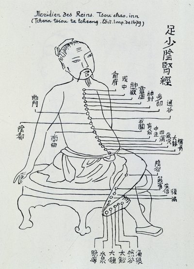中医针灸：肾经 作者 未知艺术家