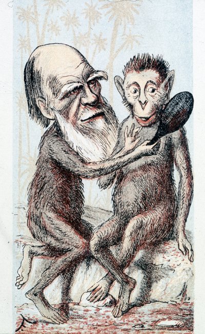 关于达尔文理论的喜剧画--载于 "伦敦素描本" 作者 未知艺术家