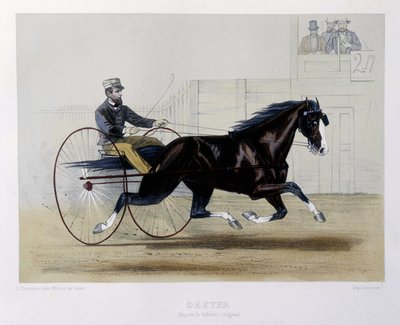 Dexter trotteur - 在“”The centaur”” 作者 未知艺术家