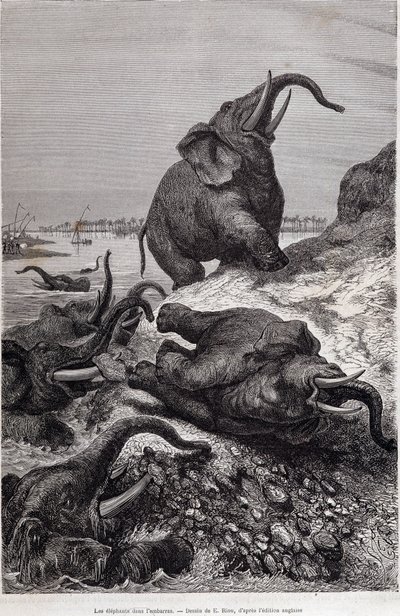 Elephants climbing the bank of a river, in account of an expedition to Central Africa commissioned by Sir Samuel White Baker, “Tour du monde” 作者 未知艺术家