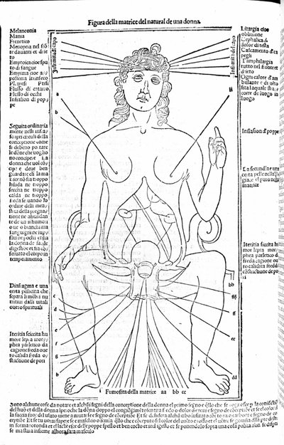 女性生殖器官--载于《医学论文》，作者是Gerolamo Cardano（卡达诺）（Cardanus Hieronymus），佛罗伦萨，1585年。 作者 未知艺术家