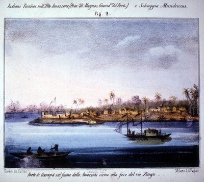 亚马逊河上的古鲁帕要塞，靠近厄瓜多尔的里约新古河口。1846-1848年的版画。 作者 未知艺术家