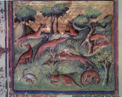狐狸狩猎家禽。 加斯顿·福比斯（Gaston Phoebus，1331-1391）手稿“Le livre de la chasse”（第 34v 对开本）的缩影 作者 未知艺术家