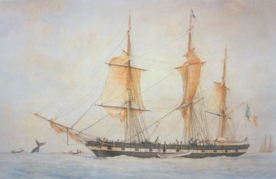 法国捕鲸船，约1845年（彩色平版印刷）。 作者 未知艺术家