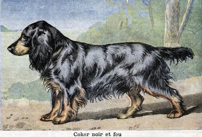 猎犬。黑焦耳和火 作者 未知艺术家