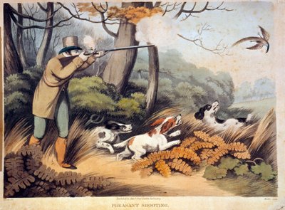 在英国狩猎野鸡。 19 世纪雕刻。 Gien，狩猎博物馆 作者 未知艺术家