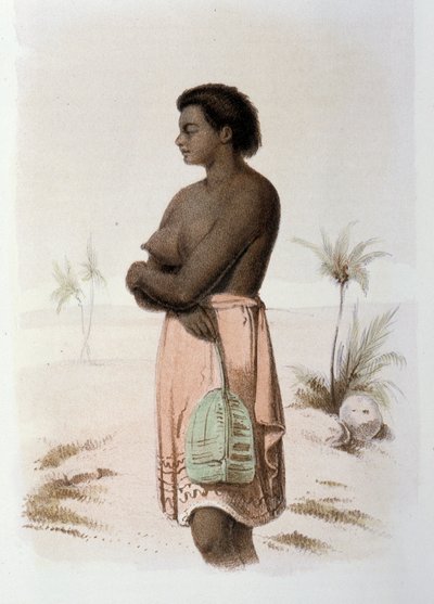 土著汤加大洋洲 - 在 Skogman Carl Johan Alfred 编着的“第一次瑞典环游”中。 斯德哥尔摩，阿道夫·邦尼尔 作者 未知艺术家