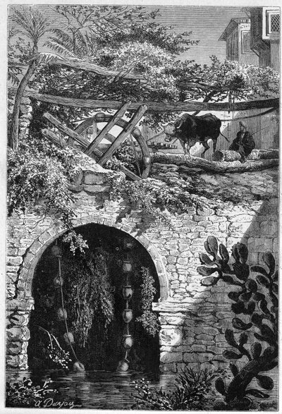 埃及的灌溉：一头牛转动着一个轮子，轮子上缠着水桶。雕刻于1882年5月27日的《世界画报》第1313期。 作者 未知艺术家