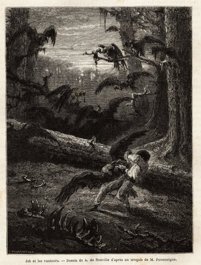 Job (travel companion of the redactor), attacked by vultures. Engraving to illustrate the story Quatre mois en Florida, by M. Pousselgue, in 1851-1852, published in “” le tour du monde””, under the direction of D
