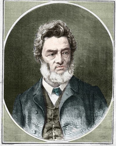朱尔-法夫尔（1809-1880），法国政治家和律师。 作者 未知艺术家