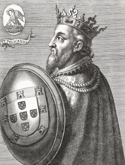 King John II of Portugal. João II. Portrait. 作者 未知艺术家