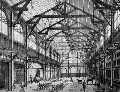 Le Grand Gymnasium de la rue des martyrs - engraving 作者 未知艺术家