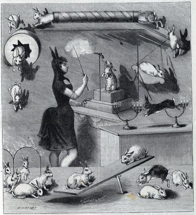 Les rabbits dresses du Nouveau Cirque in Paris: 穿着兔子服装的tampter在教动物的不同数字。1890年 "自然 "杂志上的版画。私人收藏。 作者 未知艺术家