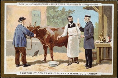 路易斯·巴斯德 (Louis Pasteur) 和他在木炭病方面的工作 - 19 世纪后期 Chocolats d