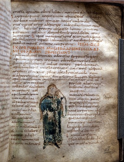 手稿页摘自“”单一成分“”克劳德·盖伦（Galen or Klaudios Claudius Galen or Galen or Galen, p. 131 - p. 201），希腊医生。 卢卡政府。 作者 未知艺术家