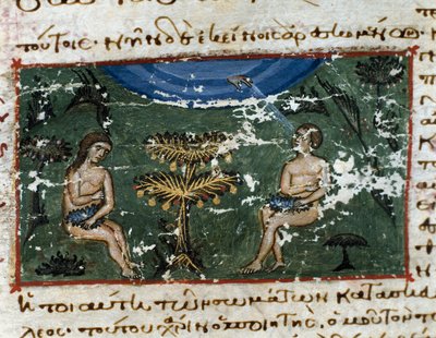 来自“Codex de l