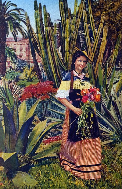 尼科塞岛1930 年左右的明信片。尼斯市档案馆。 作者 未知艺术家