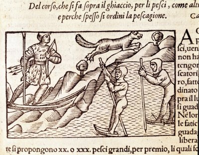 挪威猎人穿过滑雪板。 Olaus Magnus（1490 - 1557）雕刻，瑞典宗教和地理学家，“Historia de Gentis Septentrionalibus”，威尼斯 作者 未知艺术家