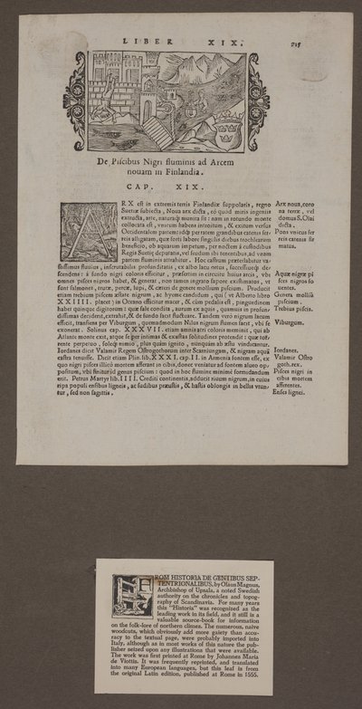 奥劳斯·马格努斯（Olaus Magnus）的《北方描述》中的页面 作者 未知艺术家
