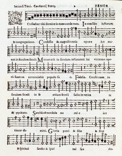 Page of musical score of Confitebor tibi dominine psalm dedicated to Palestrina by Costanzo Porta 作者 未知艺术家