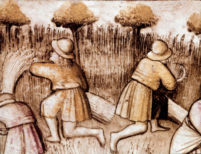 农民割草 bles 手抄本 212（或帕多瓦诺抄本或帕多瓦圣经）1390-1400 Rovigo, Accademia dei Concordi 的缩影 作者 未知艺术家