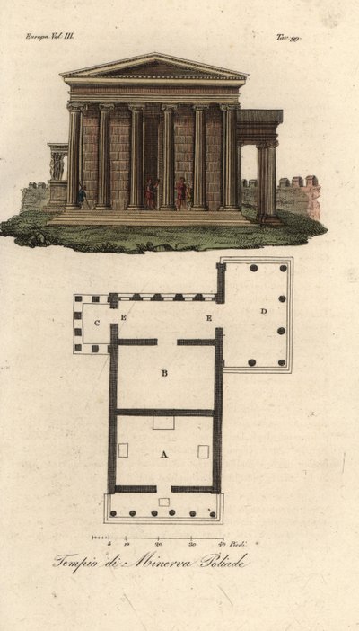 Erechtheion 或 Erechtheum A、海王星神庙 B、密涅瓦波利亚斯神庙与女像柱 C 和 Pandrosus 神庙或 Pandrosion D 的平面图和立面图 作者 未知艺术家
