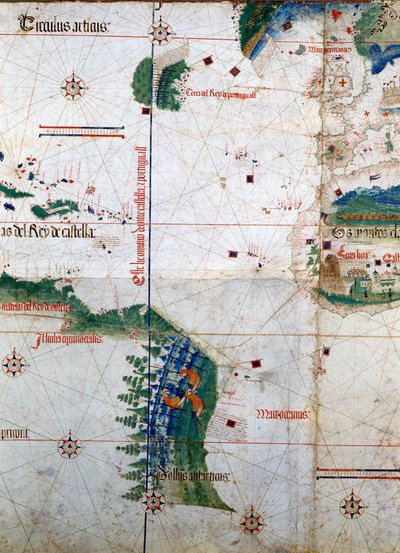Cantino 平面：1502 年的 Alberto Cantino 地图，代表葡萄牙和西班牙美洲之间的 Tordesillas 条约（1494 年）规定的边界线。 埃斯滕斯图书馆。 摩德纳 作者 未知艺术家