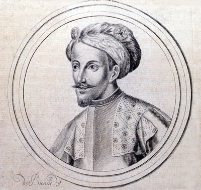 塞缪尔·吉舍努 (Samuel Guichenou) 于 1660 年在里昂撰写的“萨伏伊王室的谱系历史”中的阿梅迪五世·德·萨瓦·迪特·勒·格兰德 (1249 - 1324) (Amedeo VI di Savoia detto il Grande) 的肖像。 作者 未知艺术家