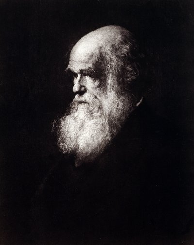查尔斯·罗伯特·达尔文 (1809 - 1882) 的肖像 作者 未知艺术家