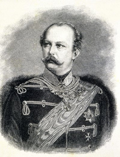 普鲁士的弗雷德里克-查尔斯（1828-1885）肖像，威廉一世的侄子 作者 未知艺术家