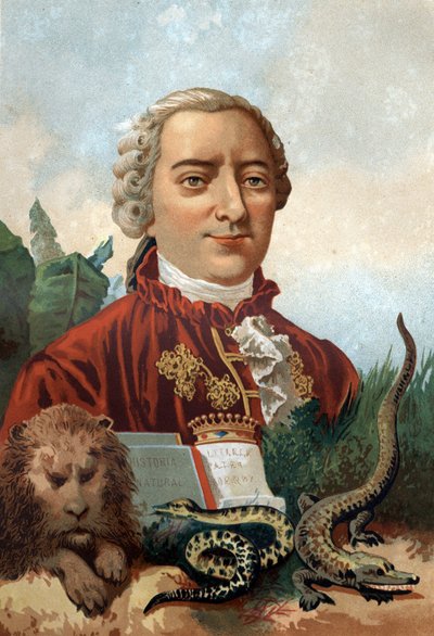 乔治-路易斯-勒克莱尔，布冯伯爵（1707 - 1788）的肖像，法国自然学家和作家。19世纪的彩色石版画。根据Louis Figuier的 "La Ciencia y sus Hombres "创作。巴塞罗那 1881年 作者 未知艺术家