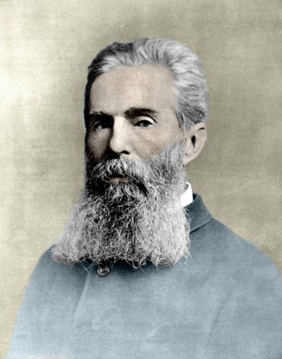 赫尔曼-梅尔维尔（1819 -1891）美国小说家的肖像。 作者 未知艺术家
