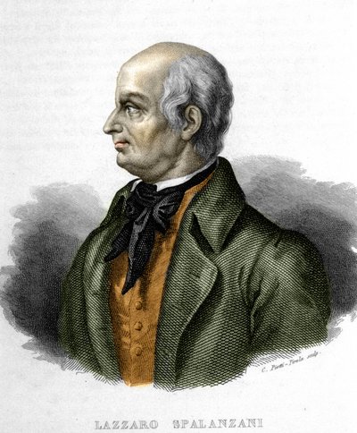 意大利生物学家 Lazzaro Spalanzani (或 Spallanzani) 的肖像 (1729 - 1799) 作者 未知艺术家