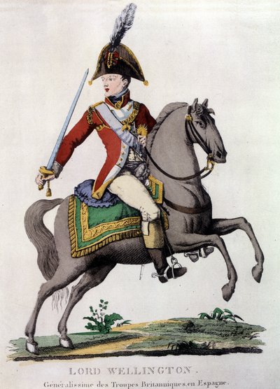 威灵顿勋爵（1769 - 1852）的肖像，驻西班牙英国军队的总指挥。 作者 Unknown artist