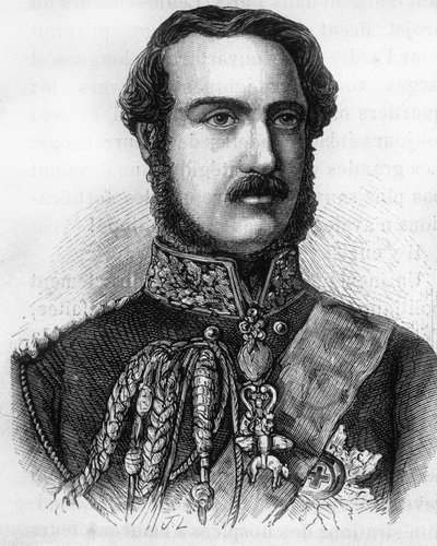 英格兰和爱尔兰王子阿尔伯特的肖像（1819-1861）。 作者 未知艺术家