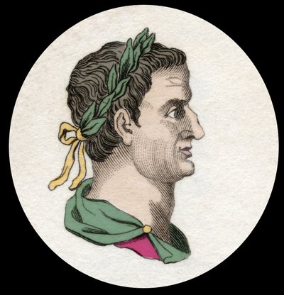 罗马皇帝Servius Sulpicius Galba（公元前3年-公元69年）的肖像。19世纪的雕版画 作者 未知艺术家