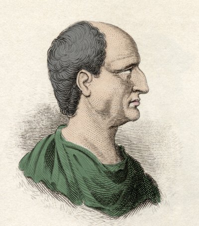 Themistocle（希腊 Themistokles）的肖像，政治家和雅典将军（公元前 525-460 年）。 19 世纪的雕刻。 作者 未知艺术家