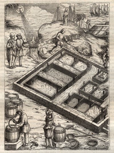 通过在盐池中蒸发海水来生产盐。摘自Georgius Agricola (Georg Bauer)的《De re metallica》。(Basel 1556) - 盐的生产：海水倒入大碗中蒸发后离开盐库。雕刻自乔治-阿格里科拉的 "De re metallica"。 作者 未知艺术家