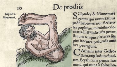 山椒鱼怪物的代表 雕刻自沃尔夫哈特（Conrad Lycosthene）的 "The Book of Prodigiorum ac ostentorum Chronicon Basileae" 1557年 作者 未知艺术家