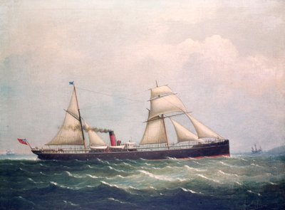 S.S Fooksang (oil on canvas) 作者 未知艺术家